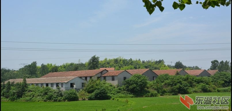 记忆梅川，记住乡愁系列报道之五十六回垅村