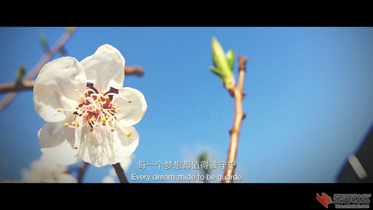 图片1434326824942.jpg