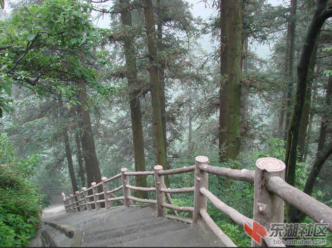 山间小路.png