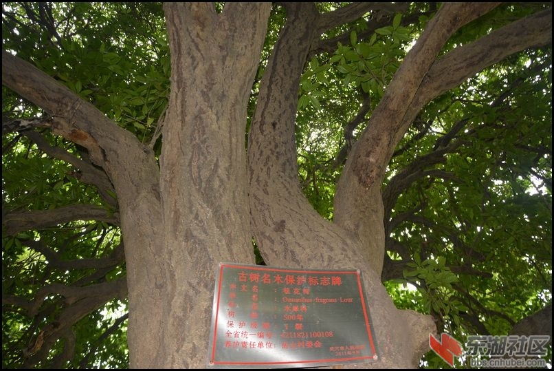 记忆梅川，记住乡愁系列报道之五十七岳山村(B)