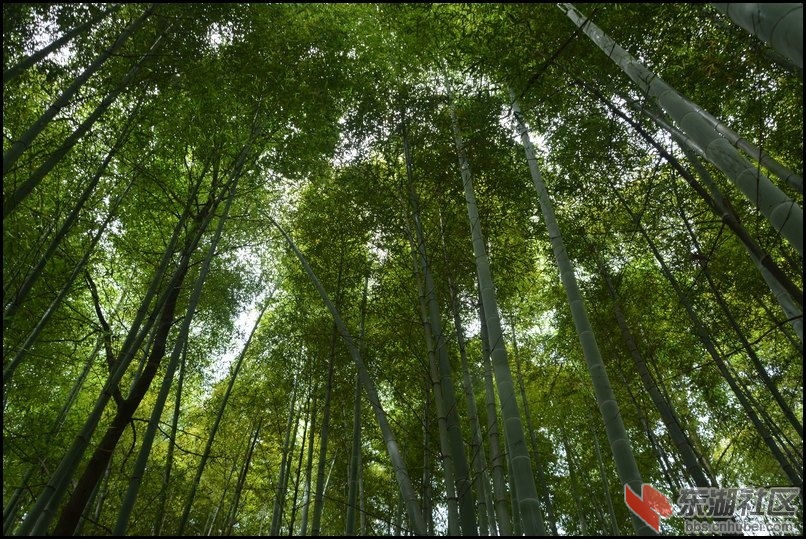 记忆梅川，记住乡愁系列报道之五十七岳山村(B)