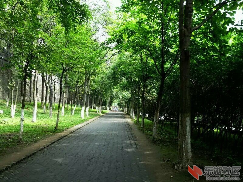 QQ图片20150617162827.jpg