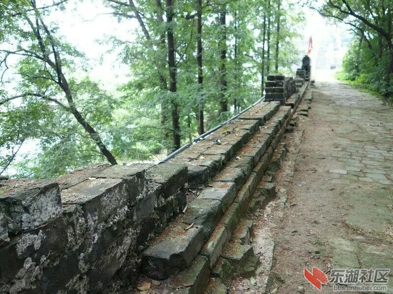 QQ图片20150617162741.jpg