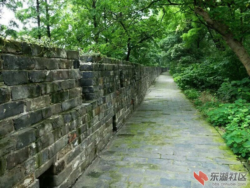 QQ图片20150617162726.jpg