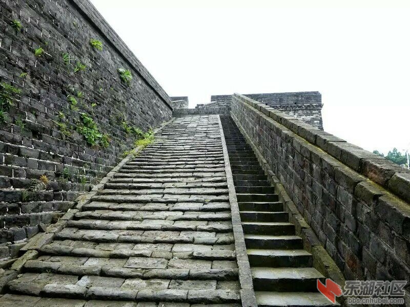 QQ图片20150617162831.jpg