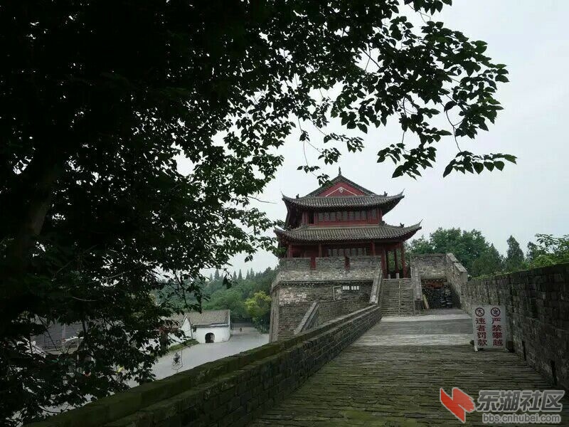 QQ图片20150617162738.jpg