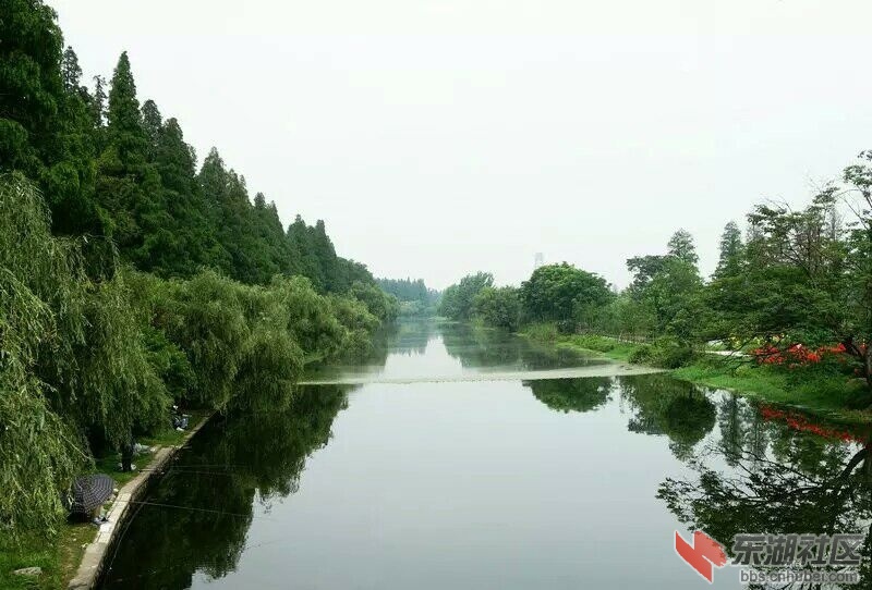 QQ图片20150617162804.jpg