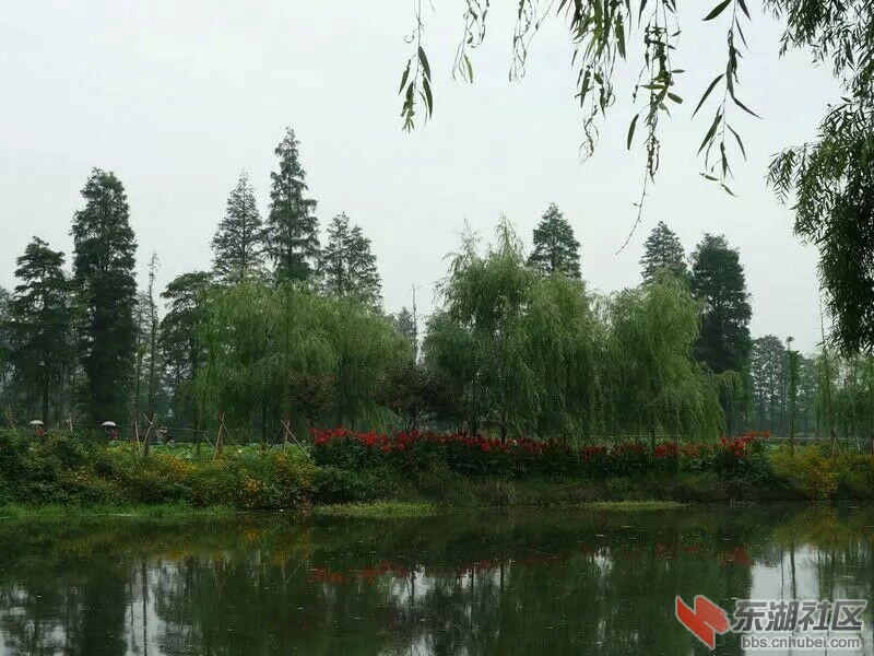 QQ图片20150617162836.jpg