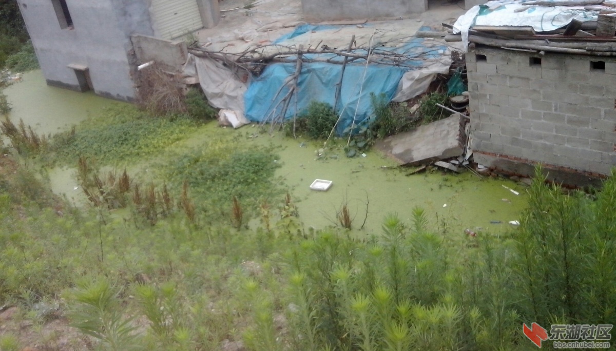 IMG20150606171203-1.jpg