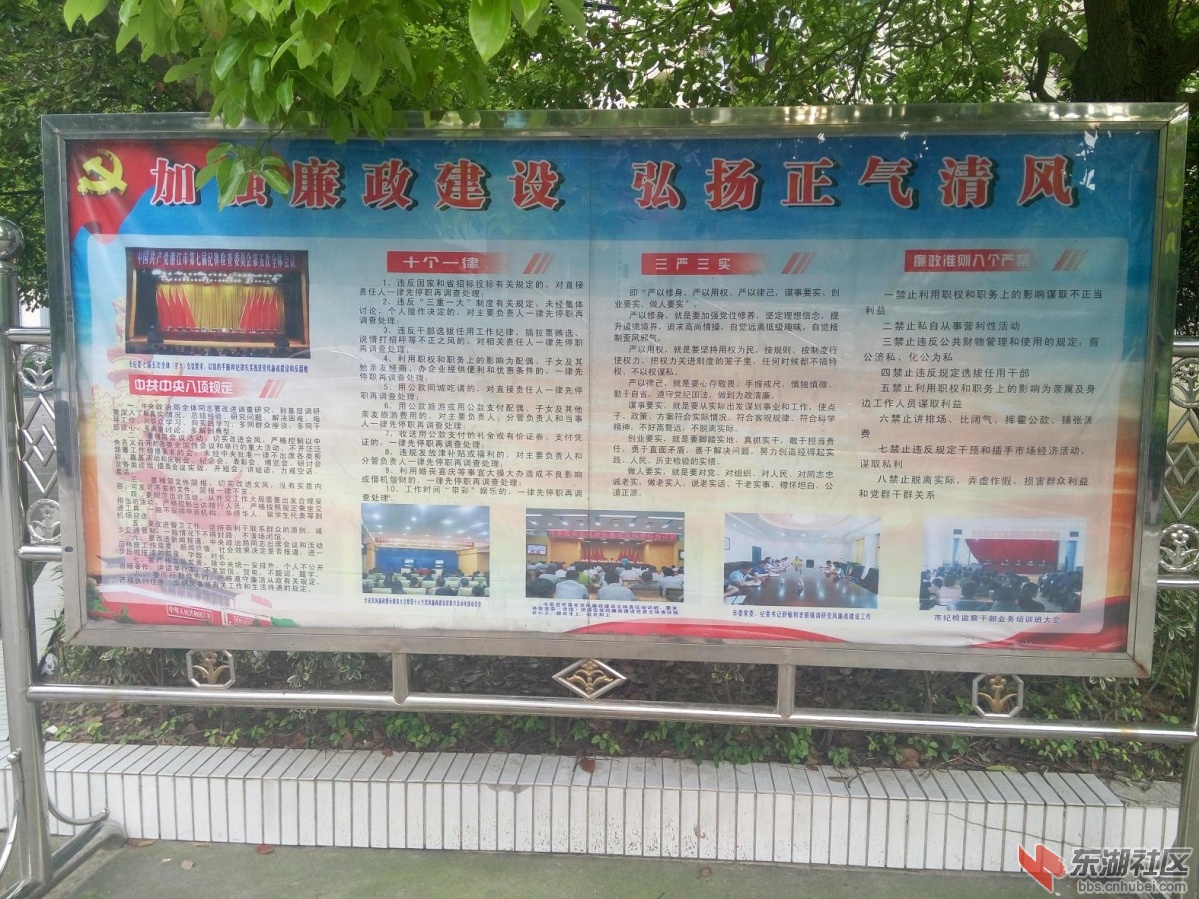 P50618-1.JPG