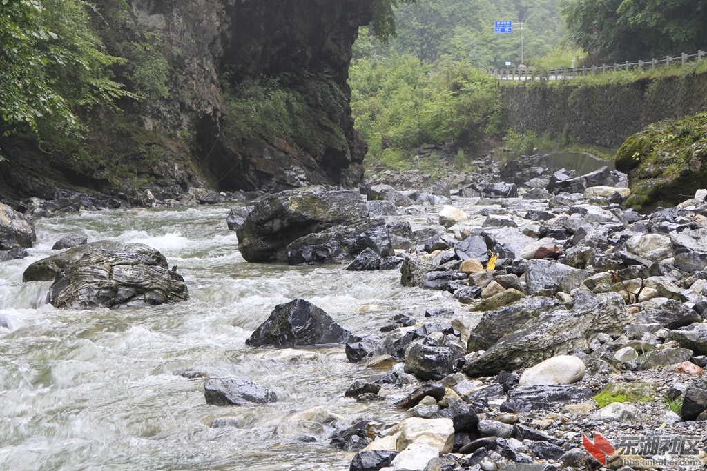 _MG_0599.jpg
