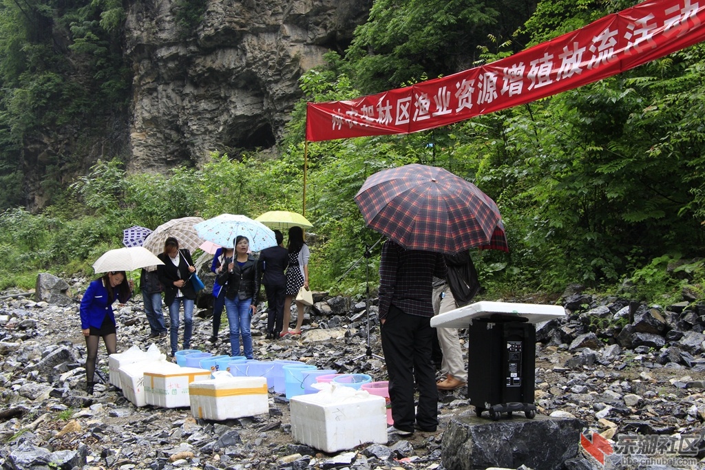 _MG_0604.jpg