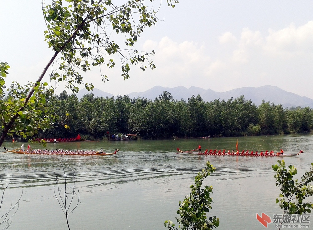2015-06-20  05_副本.jpg