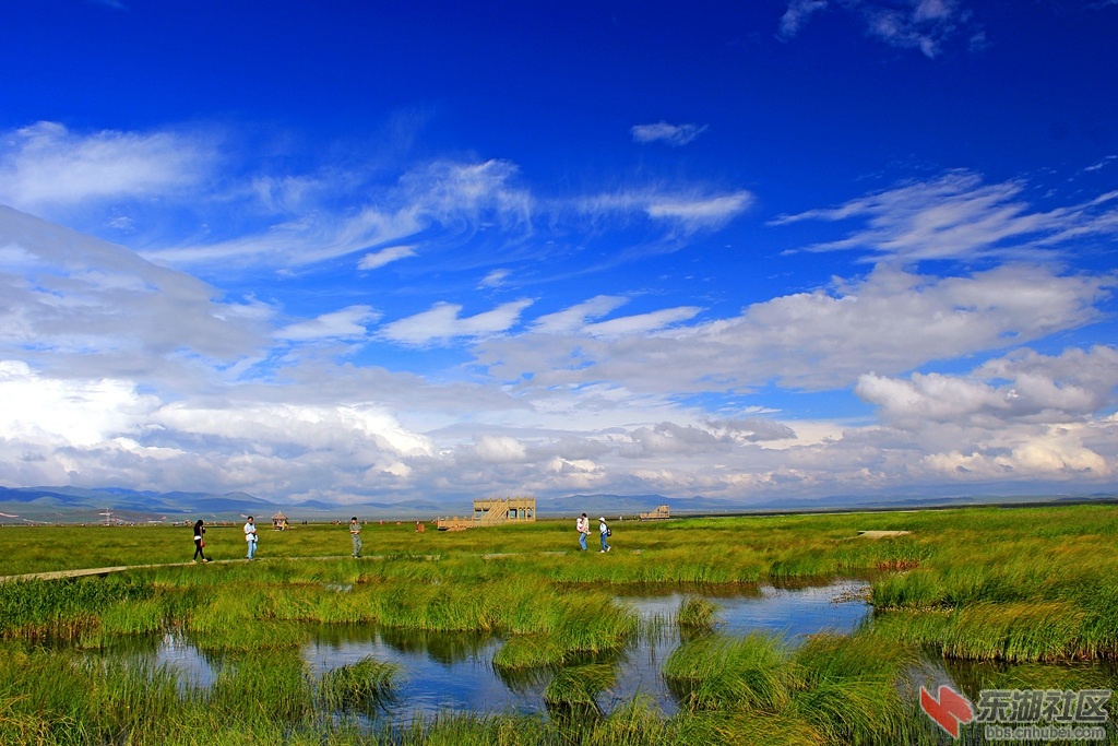IMG_7984新_副本.jpg