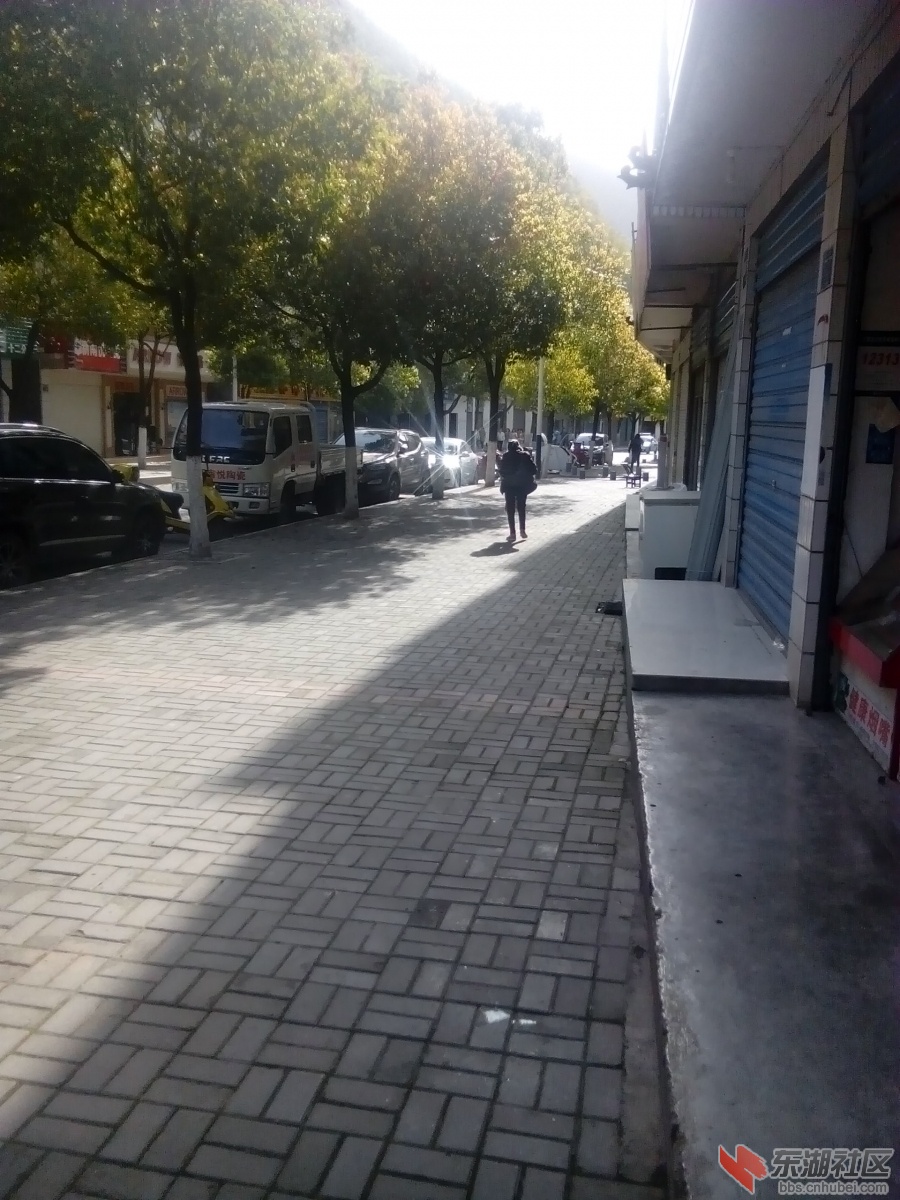 IMG_20150412_084935.jpg