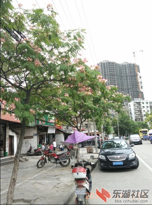 888.jpg