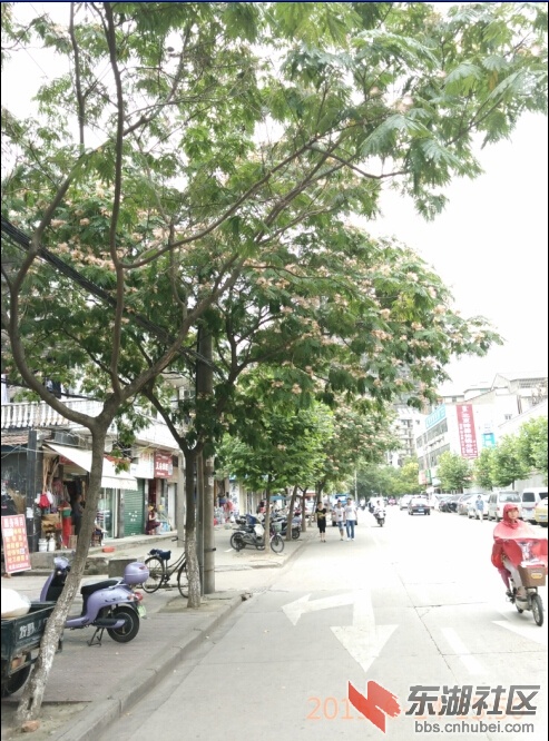 888.jpg