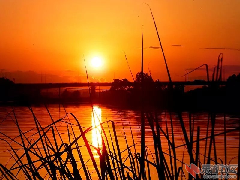夕阳.jpg