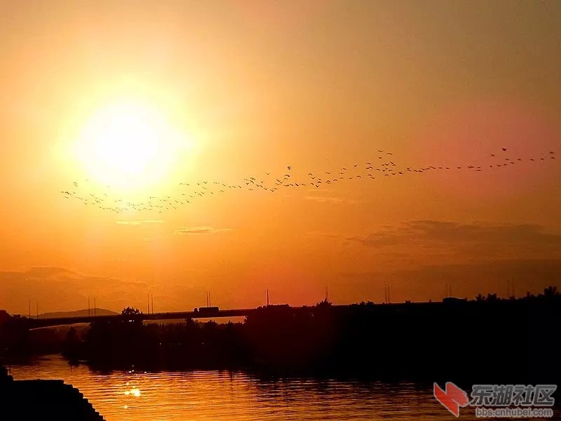 夕阳2.jpg