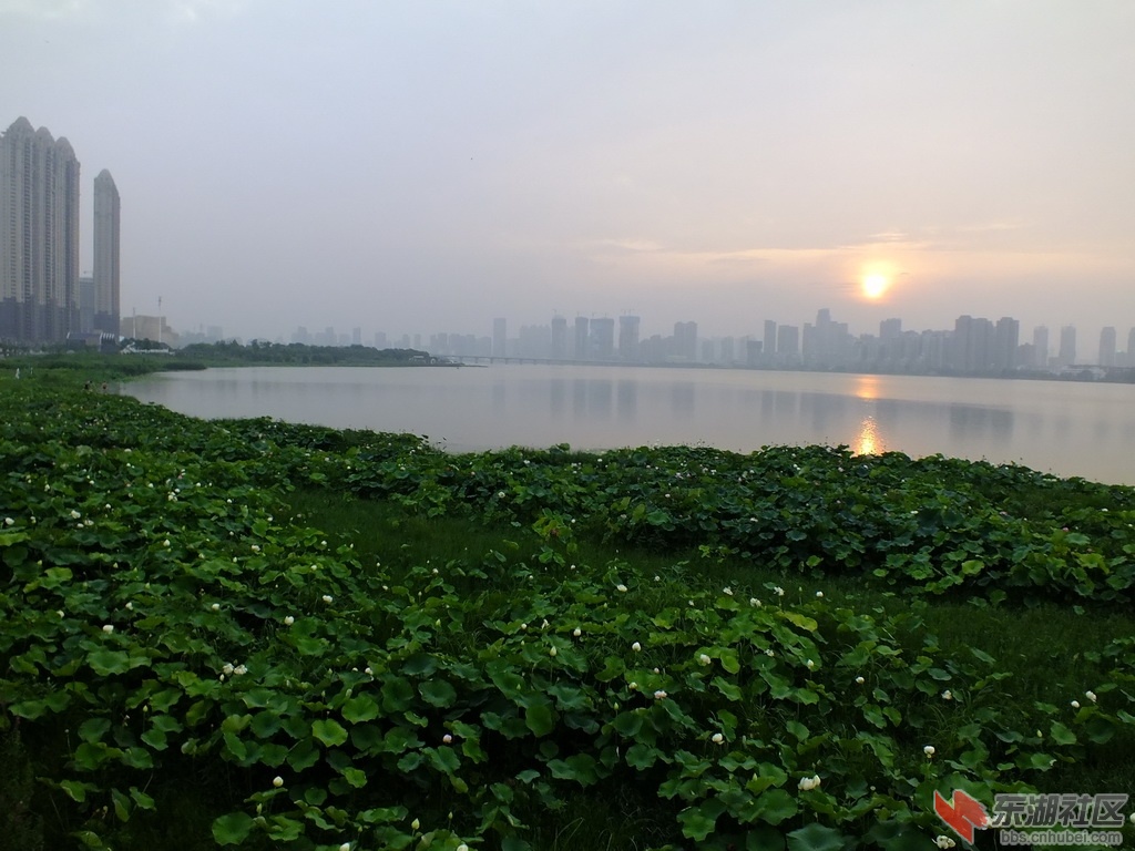 DSCF2235_缩小大小.JPG