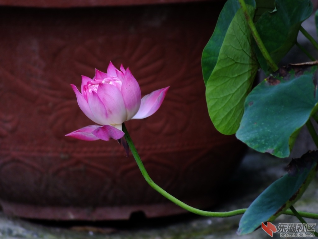 DSCF2106_缩小大小.JPG