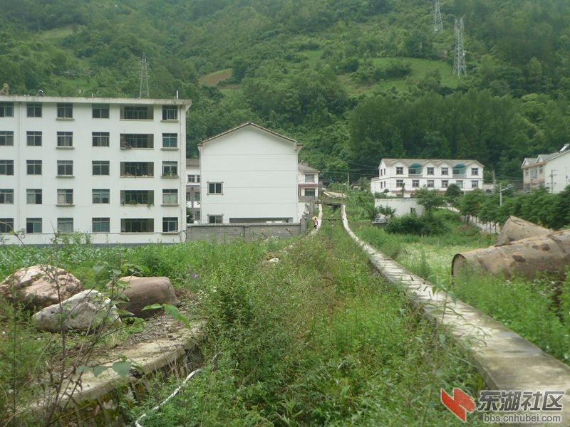 P1170353_副本.jpg