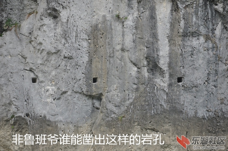 DSC_0255_副本.jpg