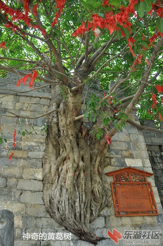 DSC_0416_副本.jpg