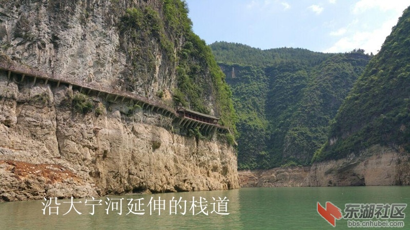 psbCATAM67T_副本 - 副本.jpg