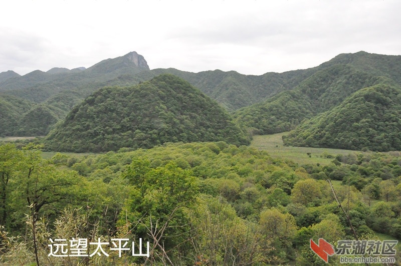 DSC_0090_副本.jpg