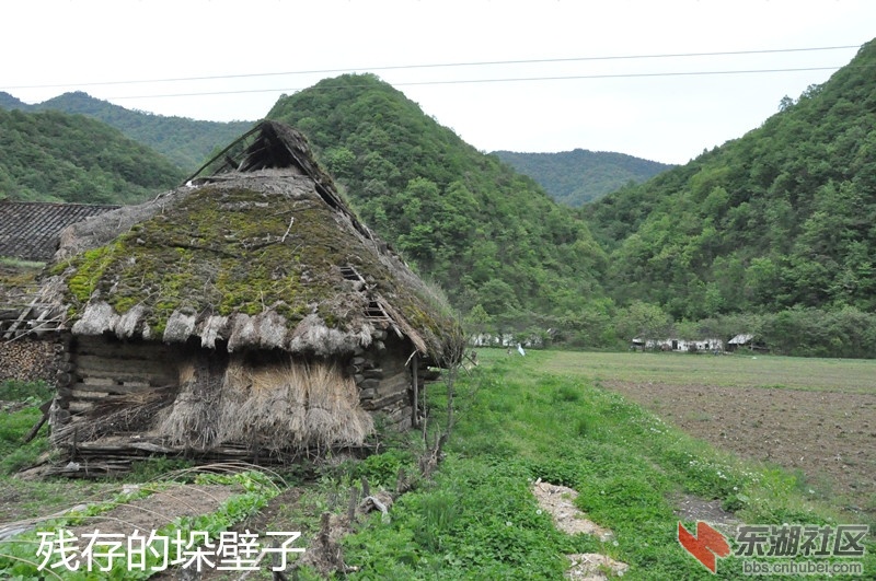 DSC_0009_副本.jpg