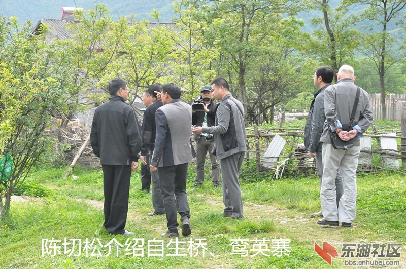 DSC_0047_副本.jpg