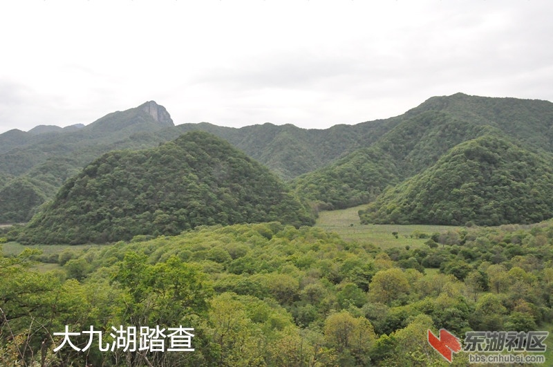 DSC_0088_副本.jpg