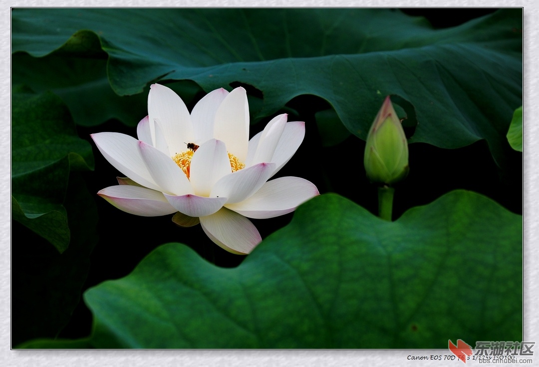 IMG_3633副本.jpg