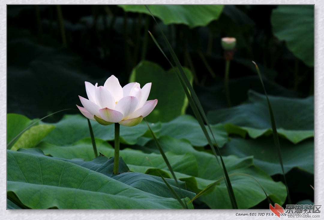 IMG_3689副本.jpg