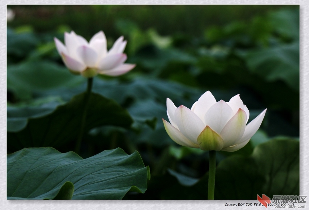 IMG_3721副本.jpg