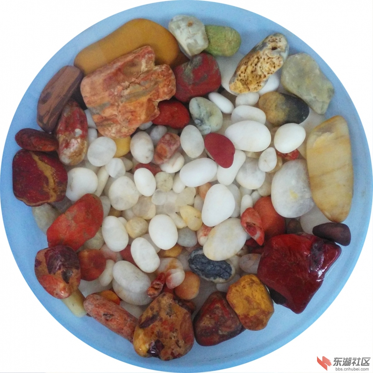 IMG_20150628_165306_副本.jpg