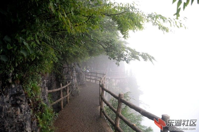 DSC_1131_缩小大小.JPG