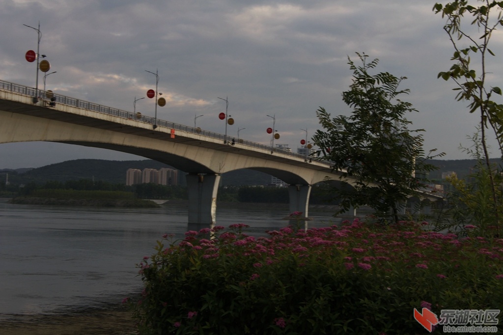 _MG_0744.jpg