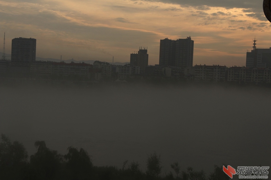 _MG_0805.jpg