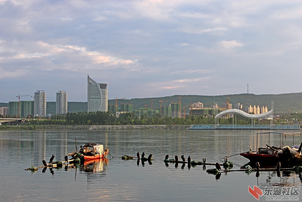 IMG_0636_副本.jpg