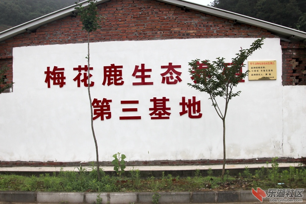 IMG_0775_副本.jpg