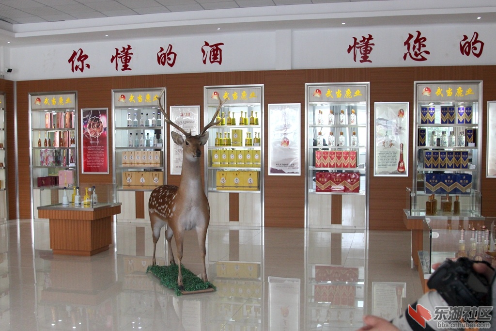 IMG_0780_副本.jpg