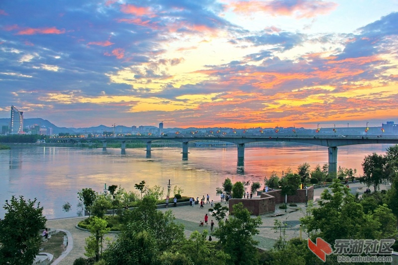 IMG_7665_调整大小.JPG