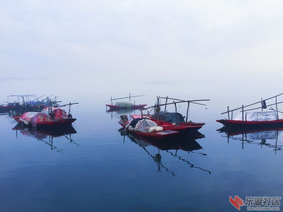 QQ图片20150630222115.jpg