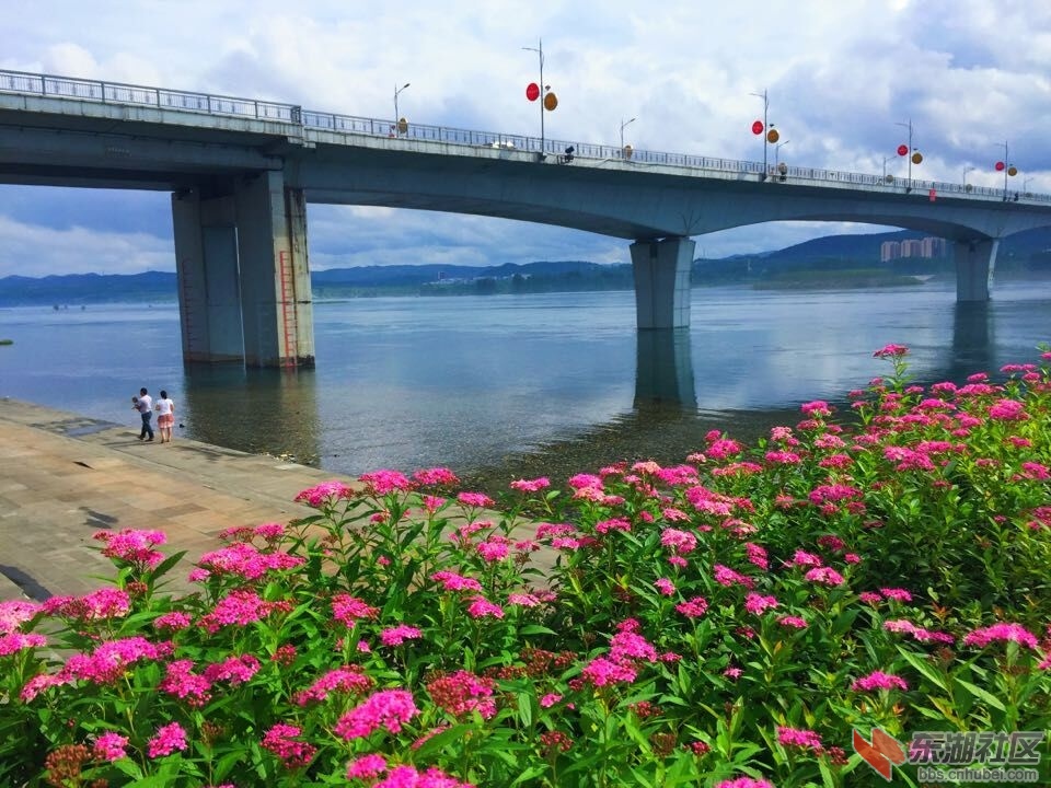 QQ图片20150630222156.jpg
