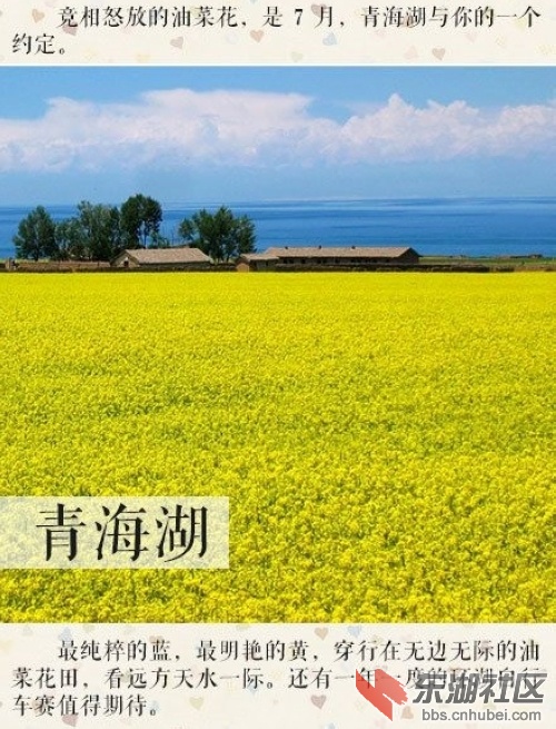 1青海湖.jpg