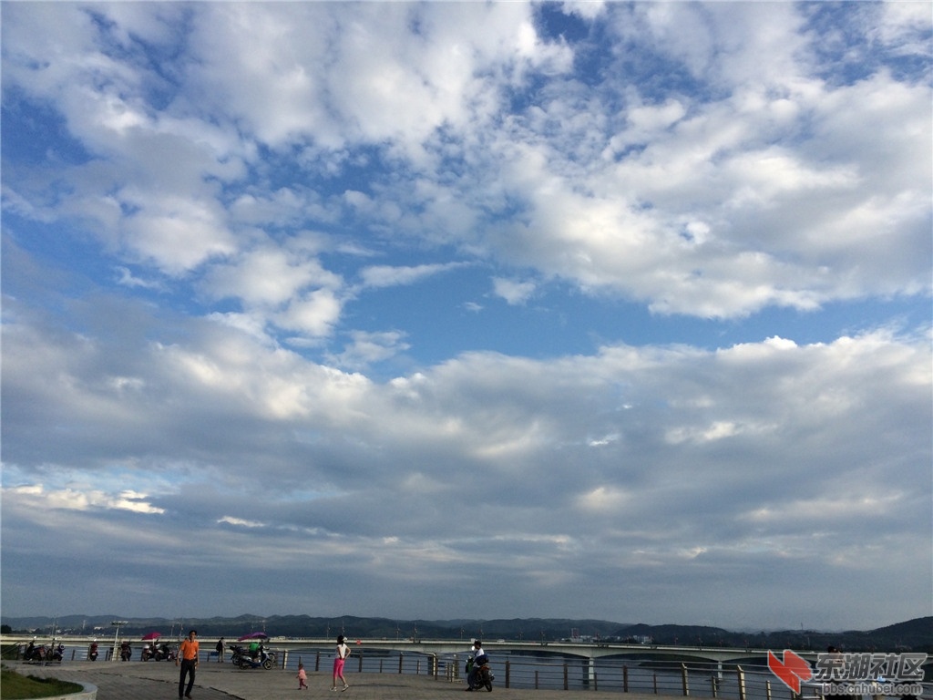 IMG_2734.jpg