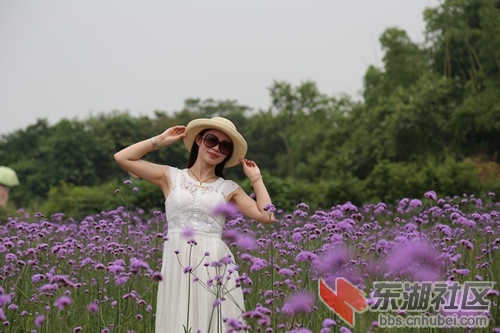 IMG_9343_副本.jpg