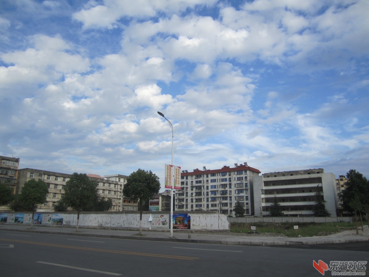 IMG_4603.JPG